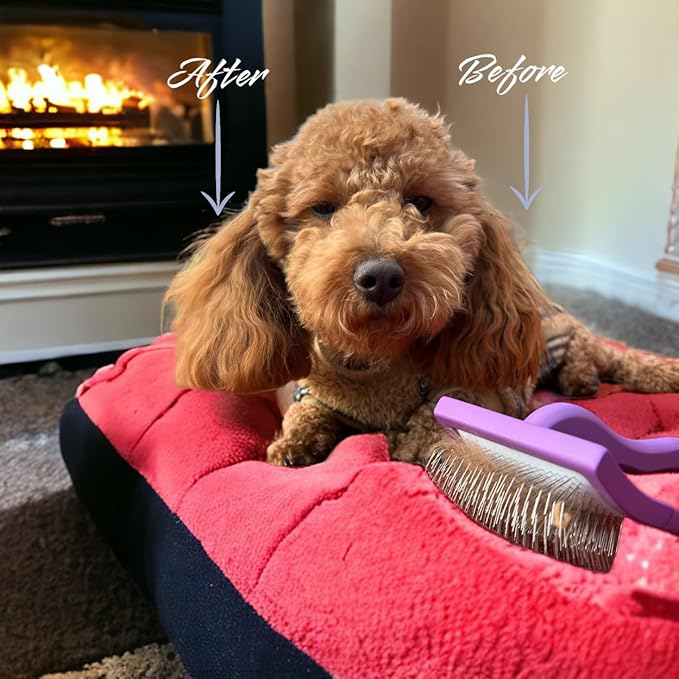 Pro-Slicker Brush Grooming Tool for Pets: Medium Teal, Soft Cushion Bed of Dull Pins, Gentle but Effective. Easily and Painlessly Remove Thick Undercoat. Reduce Brushing Sessions, Groom like a Pro