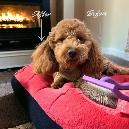 Pro-Slicker Brush Grooming Tool for Pets: Medium Teal, Soft Cushion Bed of Dull Pins, Gentle but Effective. Easily and Painlessly Remove Thick Undercoat. Reduce Brushing Sessions, Groom like a Pro