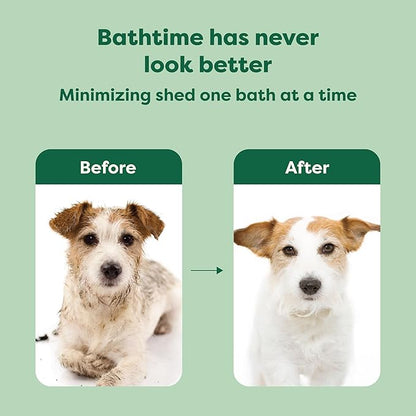 Earth Rated 3-in-1 Deshedding Dog Shampoo and Conditioner, Deodorizing Oatmeal Shampoos for Dogs and Puppies, Great for Smelly Pets, White Tea and Basil Scent, 16 oz