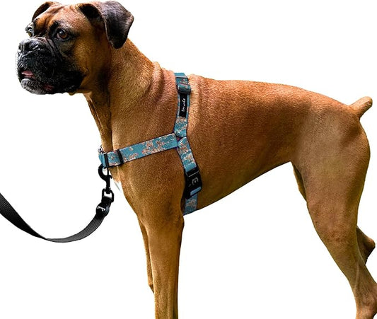 ShawnCo Dream Walk No-Pull Dog Harness- Adjustable, Comfortable, Easy to Use Pet Halter to Help Stop Pulling for Small, Medium and Large Dogs- Art Pattern Designs (Freckle's Garden, M)
