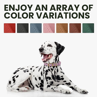 BRONZEDOG Rolled Leather Dog Collar with QR ID Tag Adjustable Soft Round Collars for Small Medium Large Dogs Puppy Cat (9" - 11" Neck Size, Light Brown)