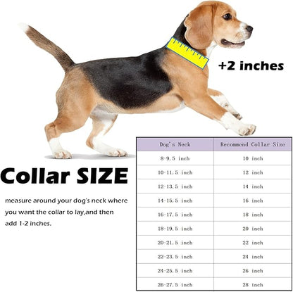 Cute Strong Gold Chain Dog Collar with Bling Clasp & Tag Pendant,18K Gold Plated Cuban Link Dog Collar,Dog Necklace Walking Collar for Puppy Small Dogs(12 Inches)