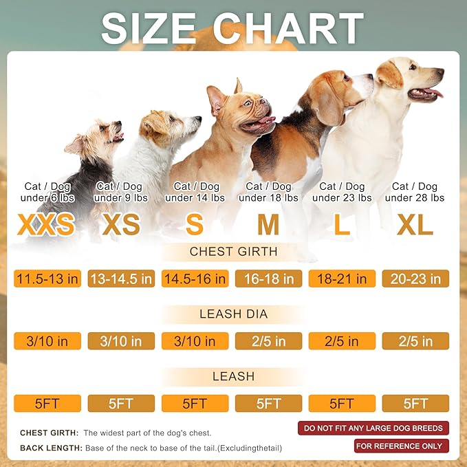 BEAUTYZOO Step in Dog Harness and Leash Set,Floral Pattern Reflective Dog Harness No Pull No Choke Puppy Harness for Small Medium Large Dogs Cats,Soft Padded Mesh Vest Harnesses for Girl and Boy Pets