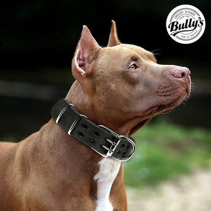 Pit Bull Collar, Dog Collar for Large Dogs, Heavy Duty Nylon, Stainless Steel Hardware (Large, Black with Blue Trim)