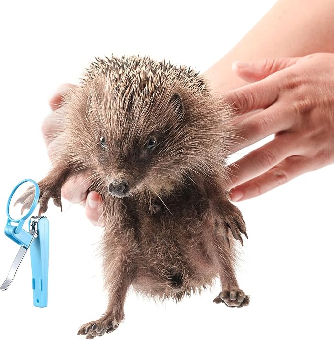 Mudder Small Animal Grooming Kit: 2 Pcs Hedgehog Supplies Hedgehog Accessories Hedgehog Bathing Brush with Nail Toenail Clipper with Magnifier for Pet Hamster Guinea Pig Rabbit Cat Kitten