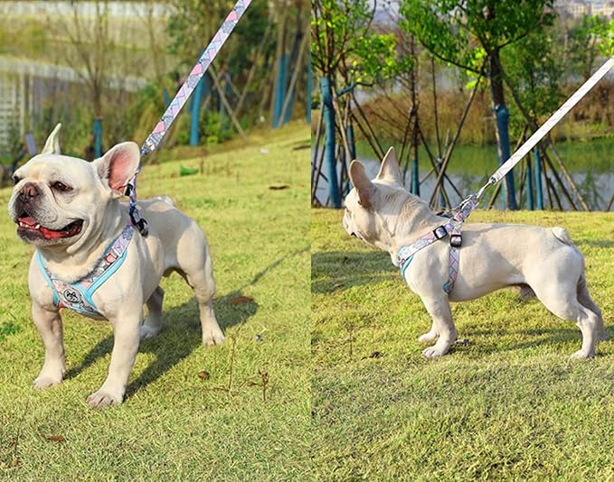 PT-010 Pet Dog Puppy No-Pull Harness Walking Training Harness with Leash Reflective Vest (Blue, X-Small)