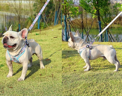 PT-010 Pet Dog Puppy No-Pull Harness Walking Training Harness with Leash Reflective Vest (Blue, X-Small)