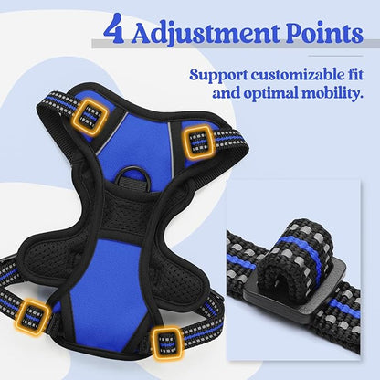 rabbitgoo Dog Harness, No-Pull Pet Harness with 2 Leash Clips, Adjustable Soft Padded Dog Vest, Reflective No-Choke Pet Oxford Vest with Easy Control Handle for Small Dogs, Dazzling Blue,XS