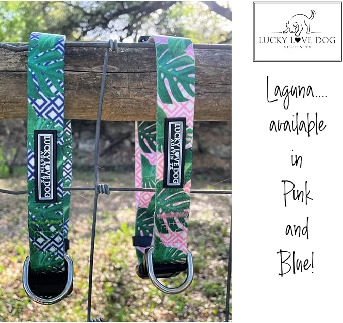Lucky Love Dog Collar and Leash Set, Beautiful & Vivid Patterns, Easy On & Off Clasp Accessory (Blue Laguna, M Combo)