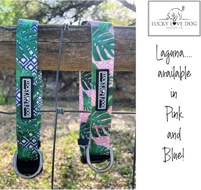 Lucky Love Dog Collar and Leash Set, Beautiful & Vivid Patterns, Easy On & Off Clasp Accessory (Blue Laguna, M Combo)