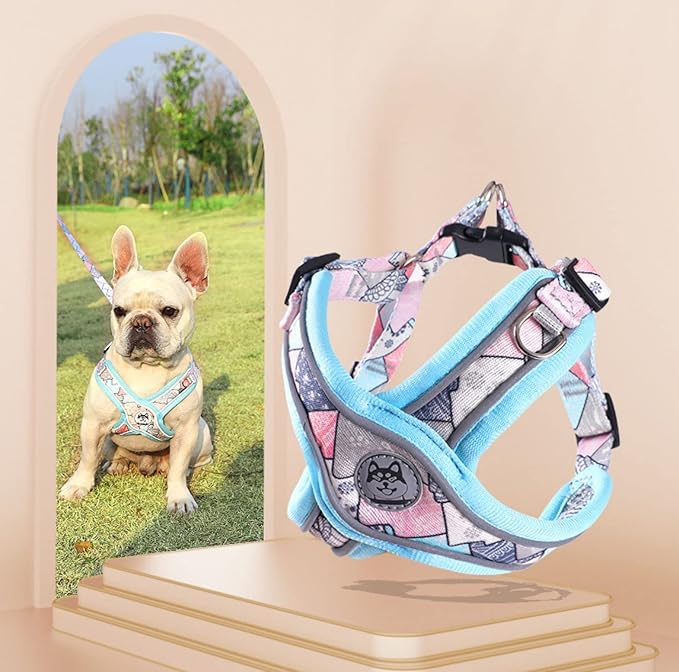 PT-010 Pet Dog Puppy No-Pull Harness Walking Training Harness with Leash Reflective Vest (Blue, X-Small)