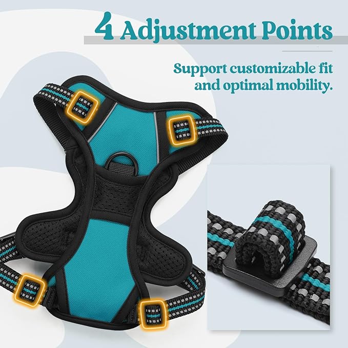rabbitgoo Dog Harness, No-Pull Pet Harness with 2 Leash Clips, Adjustable Soft Padded Dog Vest, Reflective No-Choke Pet Oxford Vest with Easy Control Handle for Large Dogs, Teal, X-Small