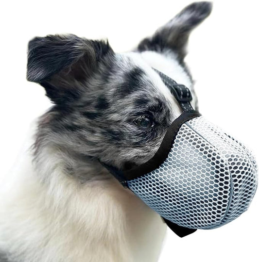 Large Dog Muzzle, Muzzle for Large Dogs to Prevent Eating/Chewing/Biting, Breathable Reflective Adjustable Medium Dog Accessories Dog Muzzle (Blue, XL)