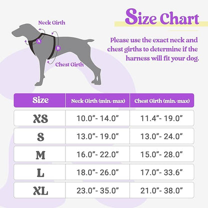 rabbitgoo Dog Harness, No-Pull Pet Harness with 2 Leash Clips, Adjustable Soft Padded Dog Vest, Reflective No-Choke Pet Oxford Vest with Easy Control Handle for Large Dogs, Purple & Yellow, S
