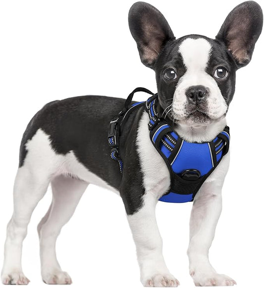 rabbitgoo Dog Harness, No-Pull Pet Harness with 2 Leash Clips, Adjustable Soft Padded Dog Vest, Reflective No-Choke Pet Oxford Vest with Easy Control Handle for Small Dogs, Dazzling Blue, S
