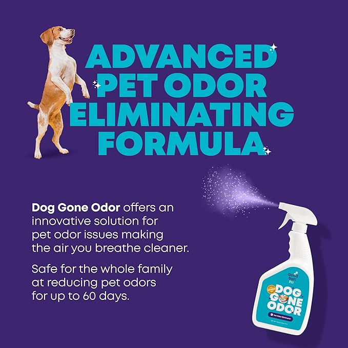 Good Salt Pet Dog Gone Odor, Natural & Fragrance Free Scent Neutralizer Spray, Made in the USA, 32 Ounce Bottle, 4-Pack