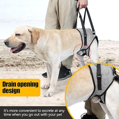 GabeFish Dog Leg Support for Back Legs, Adjustable Lift Harness for Dog, Breathable Dog Sling for Rear Legs Grey Small