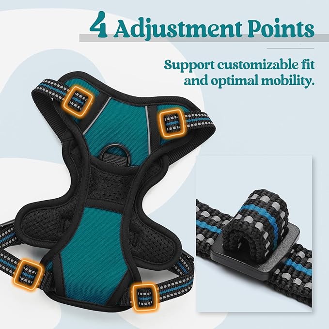 rabbitgoo Dog Harness, No-Pull Pet Harness with 2 Leash Clips, Adjustable Soft Padded Dog Vest, Reflective No-Choke Pet Oxford Vest with Easy Control Handle for Small Dogs, Blue Coral, XS