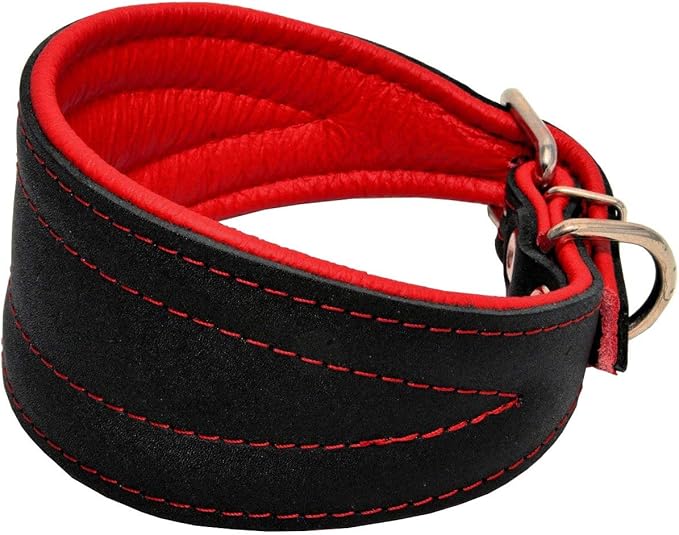 Real Leather Extra Wide Padded Tapered Dog Collar Glossy Black Greyhound Saluki Deerhound Lurcher Whippet Dachshund (13.25"-15.25" Neck; 2.5" Wide, Red)
