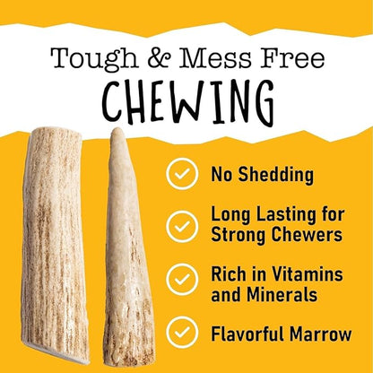 Snatchers Deer Antlers for Mild to Aggressive Chewers – Durable, Naturally Shed Antlers for Dogs Processed in The USA, No Additives (Medium, 1 Count)
