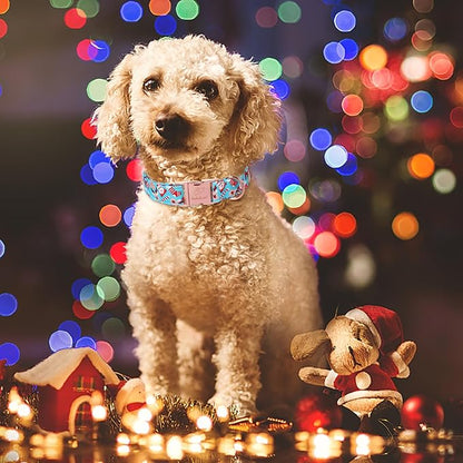 Christmas Dog Collars for Medium Dog,Blue Santa Claus Dog Collar with Safety Metal Buckle Adjustable Puppy Collars for Small Large Dog,Boy&Girl&Male&Female Dog Gift,M-13.5"-22"