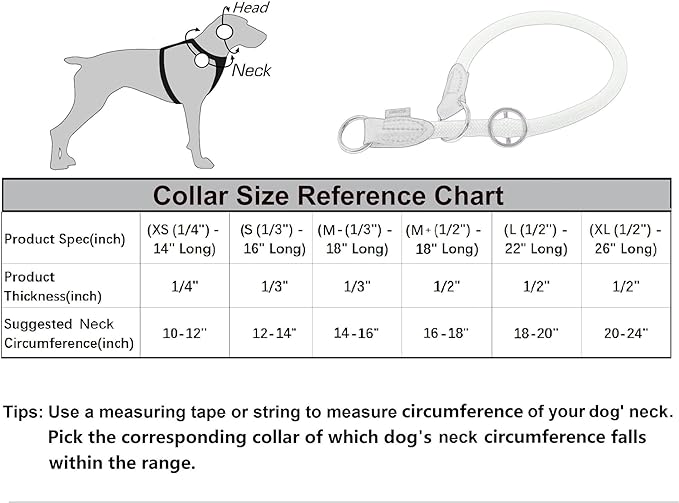 Braided Rope Collar, Pro Training Dog Collar, No Pull Round Martingale Collar, Slip Collar with Slidable Stop Ring - Ideal for Small Dogs (S(1/3") - 16" Long, Light Blue)