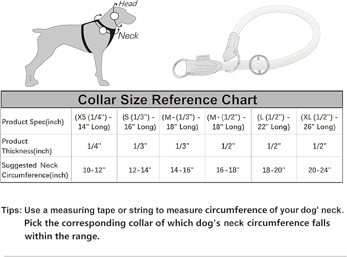 Braided Rope Collar, Pro Training Dog Collar, No Pull Round Martingale Collar, Slip Collar with Slidable Stop Ring - Ideal for Extra Small Dogs (XS (1/4") - 14" Long, Black)
