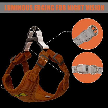 No Pull Dog Harness with Leash Pet Soft Vest Harness and Leash Set Dog Cat No Choke Escape Proof Harness Reflective Step in Harness for Small Medium Dogs Cats (Orange, Small)