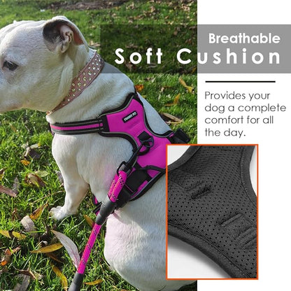 Dog Harness and Leash Duo, No Pull Vest Harness with 5 Ft Leash, Soft padded Vest, No-Choke Oxford Pet Harness, Easy Control Handle and Adjustable Pet Harness (Rose Red, Large)