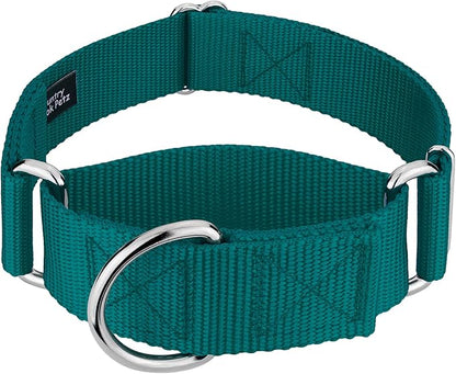 Country Brook Petz 1 1/2 Inch Martingale Heavy Duty Nylon Adjustable Dog Collar for Small, Medium, Large Breeds - Vibrant 17 Color Selection (Teal, Medium)