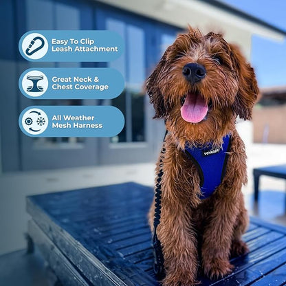 Voyager Step-in Air Dog Harness - All Weather Mesh, Reflective, No Pull Harness for Small, Medium Dogs, Cats - Secure with Hook & Loop Fastener, Buckle, Double D-Rings - Royal Blue/Black Trim, XL
