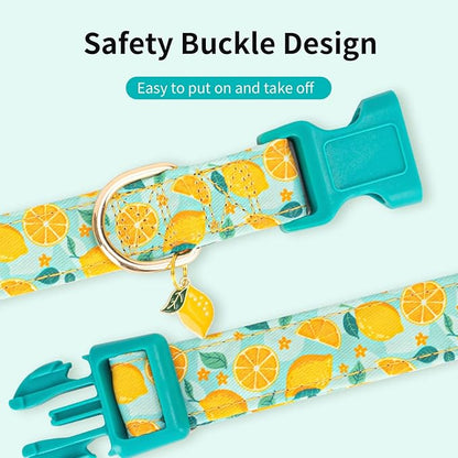 Fashionable Dog Collar with Bow Tie for Small Medium Large Dogs,Cute and Soft Puppy Collar for Male Female Dogs, Yellow Durable Cotton Dog Collar with Adjustable Buckle Lemon Pattern (S, Yellow Lemon)