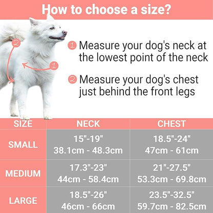Pettsie No-Pull Dog Harness Reflective, 4 Adjustable Straps, Easy Control with 2 Leash Clips for Walking or Training, Matching Friendship Bracelet, Soft and Durable Hemp for Sensitive Skin, Gift Box