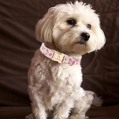 Lionheart glory Dog Collar Pink Dogs Collar Spring Summer Cute Collars Dog Female Soft Durable Adjustable Dog Collars for Medium Dogs Pet Gift