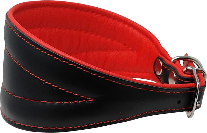 Real Leather Extra Wide Padded Tapered Dog Collar Glossy Black Greyhound Saluki Deerhound Lurcher Whippet Dachshund (13.25"-15.25" Neck; 2.5" Wide, Red)