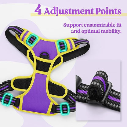 rabbitgoo Dog Harness, No-Pull Pet Harness with 2 Leash Clips, Adjustable Soft Padded Dog Vest, Reflective No-Choke Pet Oxford Vest with Easy Control Handle for Large Dogs, Purple & Yellow, S