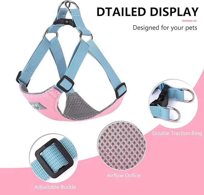 Beirui Small Dog Harness and Leash Set, No Pull Step-in Harness for Puppy, Lightweight Air Mesh Pet Harness for Small Dogs (Pink XS)