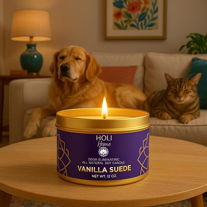 HOLI Pet Odor Eliminator Candle – Vanilla Suede Scent – All Natural Soy Wax, Paraben & Phthalate Free, Pet Safe, Long-Lasting 60-Hour Burn, Non-Toxic & Plastic-Free Air Freshener for Home