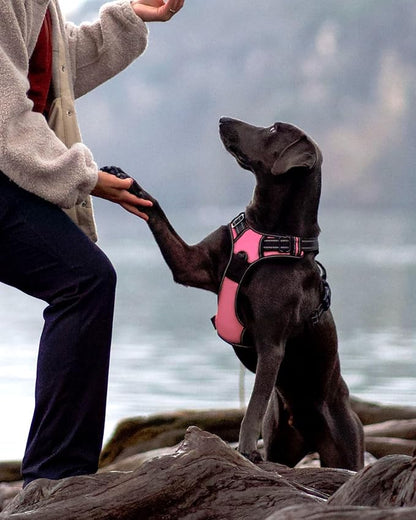 Joytale No Pull Dog Harness for Small Dogs, Reflective Pet Vest with Front Clip, Adjustable Soft Padded Harnesses with Easy Control Handle for Training and Walking, Pink, S