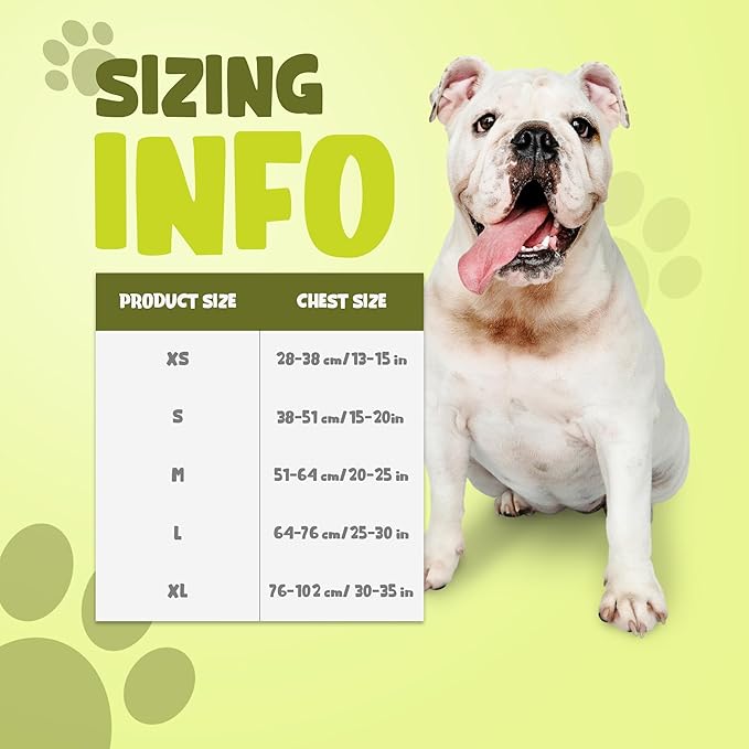 Chai's Choice Dog No Pull Harness Large (Neon Yellow) | Comfortable & Secure Adjustable Strap with Double Leash Clips | No-Choke & Easy Release | 3M Reflective Stripes for Dog Visibility