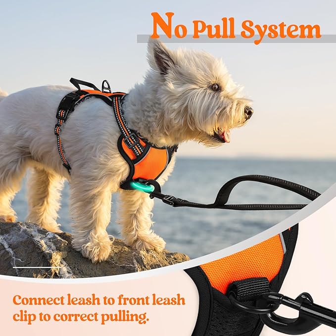 rabbitgoo Dog Harness, No-Pull Pet Harness with 2 Leash Clips, Adjustable Soft Padded Dog Vest, Reflective No-Choke Pet Oxford Vest with Easy Control Handle for Small Dogs, Orange,XS