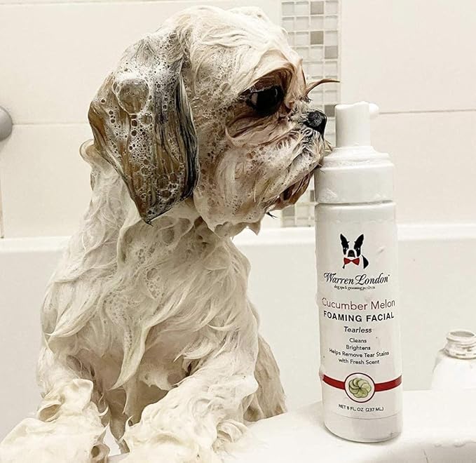 Warren London Foaming Pet Facial | Tear Free Dog Face Wash | Tearless Dog Shampoo for Faces & Dog Eye Stain Remover | Refreshing Cucumber Melon Wash | Made in USA | 8oz