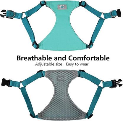 Beirui Small Dog Harness and Leash Set, No Pull Step-in Harness for Puppy, Lightweight Air Mesh Pet Harness for Medium Dogs (Blue, M)
