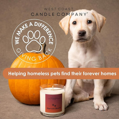Harvest Howls Pet Odor Eliminator - All Natural, Non-Toxic, Pure Soy Wax Melts - Dog & Cat Safe, Veterinarian Approved