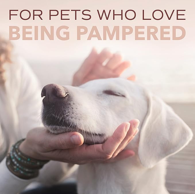 TropiClean SPA For Him Male Dog Cologne Spray Long Lasting | Sporty Scented Dog Deodorizing Spray | Naturally Derived Salon Grade Ingredients | Made in the USA | 8oz