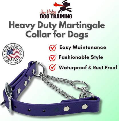 Martingale Collar for Dogs, Biothane, Stainless Steel Hardware, No Pull, Made in The USA, Professional Grade, Large, Purple