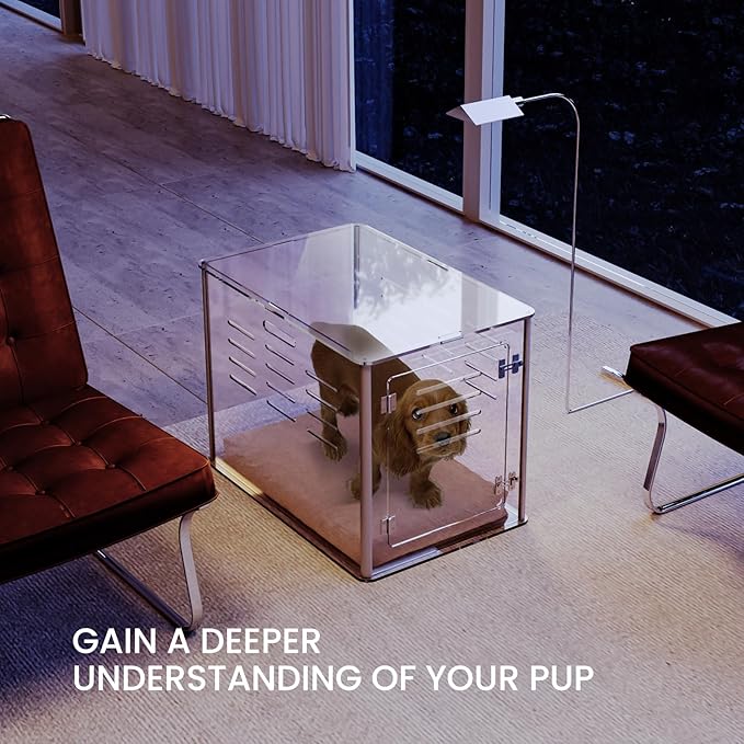 Sumerflos Acrylic Dog Crate Furniture - Clear Dog Kennel End Table for Small & Medium Dogs Up to 45lb Indoor Lockable Heavy-Duty Ventilated, 29.92" L x 20.08" W x 22.24" H