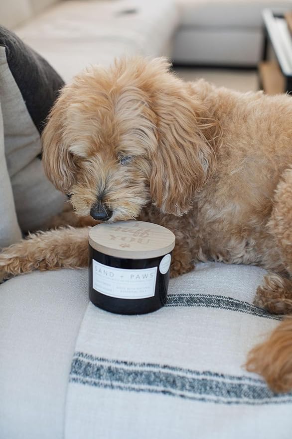 Sand + Paws Scented Candle - California Beach House–Luxurious Air Freshening Jar Candles Neutralize pet Odors and Enhance Home décor – 100% Cotton Lead-Free Wicks - 12oz