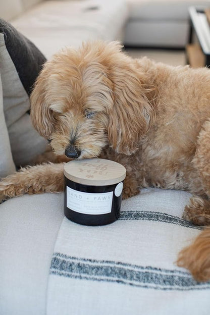 Sand + Paws Scented Candle - California Beach House–Luxurious Air Freshening Jar Candles Neutralize pet Odors and Enhance Home décor – 100% Cotton Lead-Free Wicks - 12oz