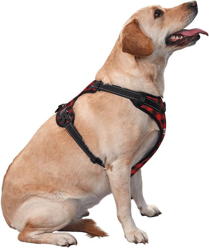 Personalized Dog Vests Customization for Puppy Medium Large Sized Dogs, Customize No Pull Dog Harnesses with Easy and Adjustable Wearing Buckles, Thistle, S